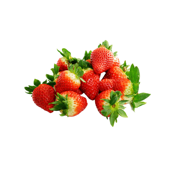 OLT Strawberry - Image 3