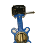 DN 50 Butterfly Valve