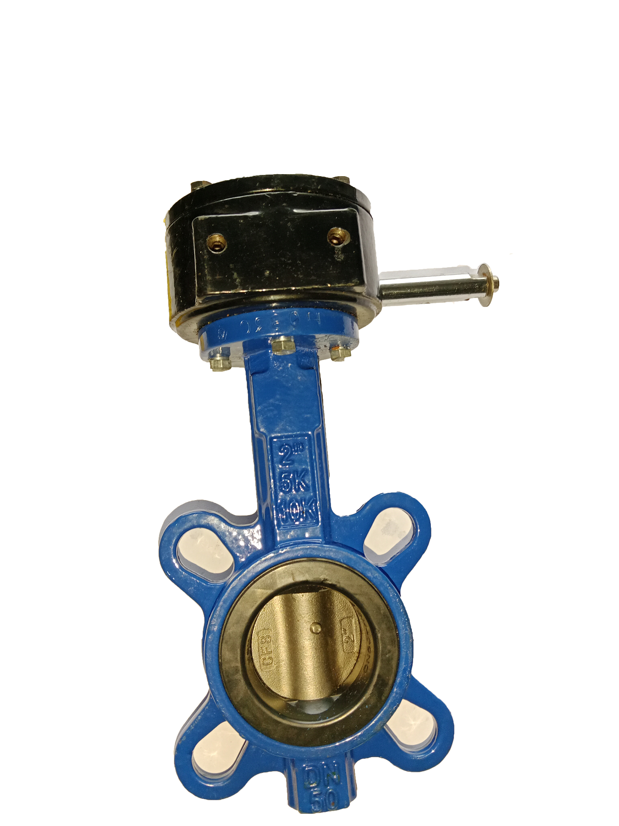 DN 50 Butterfly Valve